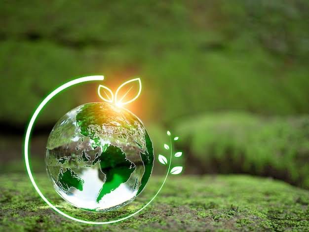 Environmental Clearance | Eco Orbit Consultancy